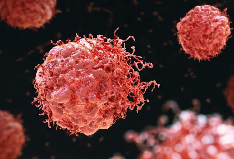 Descubren el primer anticuerpo que ataca las células madre del cáncer |  Alerta Paisa