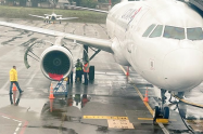 Gallinazo impactó la turbina de un avión y obligó cancelación de vuelo Cúcuta -Medellín