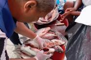 Autoridades inspeccionan la venta de pescado en plaza de mercado de Quibdó.  