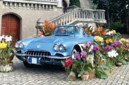 “Orquídeas y Autos Antiguos” en el Museo El Castillo 