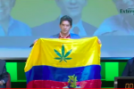 Luis Pérez hoja de cannabis