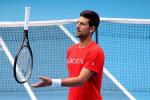 ¿Cuántos Roland Garros ha ganado Novak Djokovic?