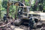 Capturan a seis personas por deforestar 345 hectáreas de bosque nativo en límites entre Antioquia y Santander