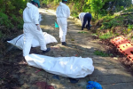 Fueron hallados dos cuerpos decapitados en Valdivia, Antioquia