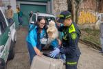 La Policía Ambiental rescató a 17 animales que se encontraban en precarias condiciones de salud en Campo Valdés