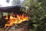 Ejército destruyó 7 laboratorios de coca pertenecientes al Clan del Golfo en Antioquia 