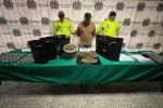 Descubren más de 100 plantas de marihuana en una finca de Altavista. La droga era vendida a domicilio