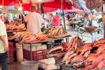 Semana Santa: recomendaciones para evitar intoxicaciones alimentarias por consumo de pescado 